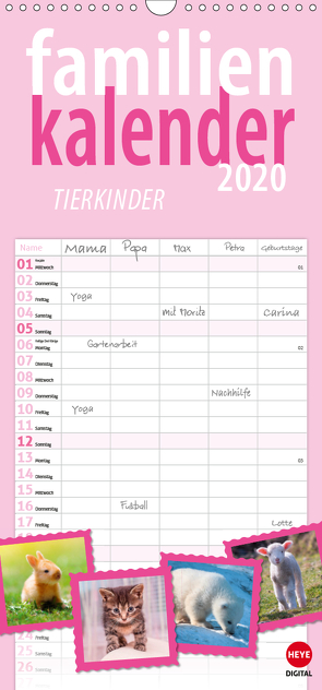 Tierkinder (Wandkalender 2020 , 21 cm x 45 cm, hoch) von Digital,  Heye