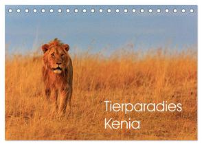 Tierparadies Kenia (Tischkalender 2024 DIN A5 quer), CALVENDO Monatskalender von Oberholzer,  David