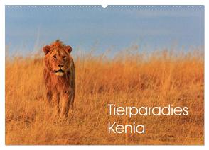 Tierparadies Kenia (Wandkalender 2024 DIN A2 quer), CALVENDO Monatskalender von Oberholzer,  David