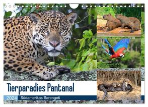 Tierparadies Pantanal (Wandkalender 2024 DIN A4 quer), CALVENDO Monatskalender von und Yvonne Herzog,  Michael