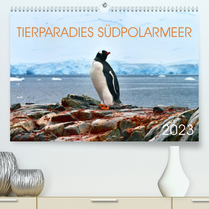 Tierparadies Südpolarmeer (Premium, hochwertiger DIN A2 Wandkalender 2023, Kunstdruck in Hochglanz) von Bergermann,  Manfred