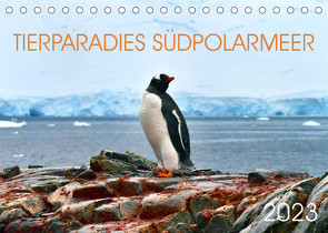 Tierparadies Südpolarmeer (Tischkalender 2023 DIN A5 quer) von Bergermann,  Manfred