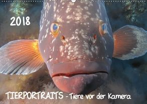 TIERPORTRAITS – Tiere vor der Kamera (Wandkalender 2018 DIN A2 quer) von Weber-Gebert,  Claudia