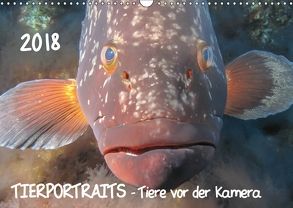 TIERPORTRAITS – Tiere vor der Kamera (Wandkalender 2018 DIN A3 quer) von Weber-Gebert,  Claudia