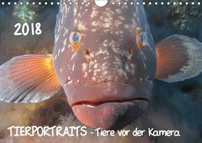 TIERPORTRAITS – Tiere vor der Kamera (Wandkalender 2018 DIN A4 quer) von Weber-Gebert,  Claudia