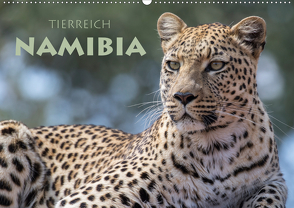 Tierreich Namibia (Wandkalender 2021 DIN A2 quer) von Peyer,  Stephan