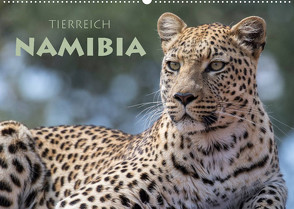 Tierreich Namibia (Wandkalender 2022 DIN A2 quer) von Peyer,  Stephan