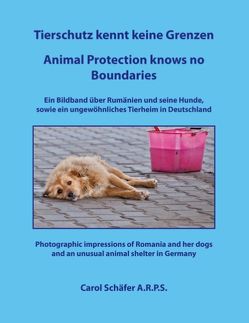 Tierschutz kennt keine Grenzen / Animal Protection knows no Boundaries von Schaefer,  Carol