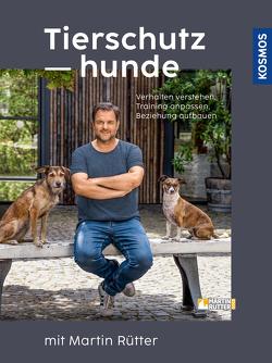 Tierschutzhunde von Buisman,  Andrea, Rütter,  Martin