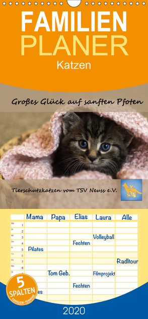 Tierschutzkatzen vom TSV-Neuss – Großes Glück auf sanften Pfoten – Familienplaner hoch (Wandkalender 2020 , 21 cm x 45 cm, hoch) von B,  Jane