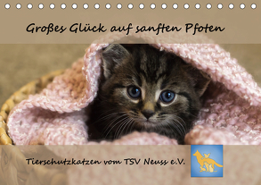 Tierschutzkatzen vom TSV-Neuss – Großes Glück auf sanften Pfoten (Tischkalender 2020 DIN A5 quer) von B,  Jane