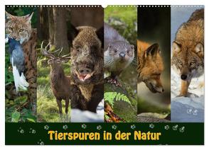 Tierspuren in der Natur (Wandkalender 2024 DIN A2 quer), CALVENDO Monatskalender von Schörkhuber,  Johann