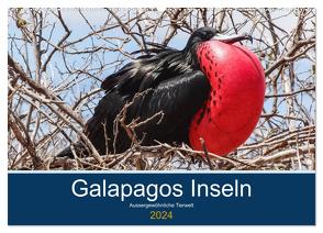 Tierwelt auf Galapagos (Wandkalender 2024 DIN A2 quer), CALVENDO Monatskalender von photography,  IAM