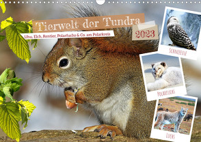 Tierwelt der Tundra (Wandkalender 2023 DIN A3 quer) von Kleemann,  Claudia