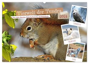 Tierwelt der Tundra (Wandkalender 2024 DIN A2 quer), CALVENDO Monatskalender von Kleemann,  Claudia