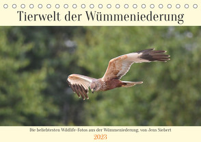 Tierwelt der Wümmeniederung (Tischkalender 2023 DIN A5 quer) von Siebert,  Jens