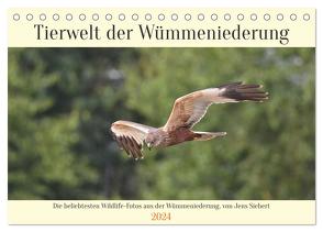 Tierwelt der Wümmeniederung (Tischkalender 2024 DIN A5 quer), CALVENDO Monatskalender von Siebert,  Jens