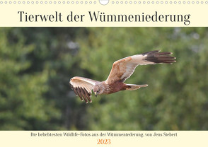 Tierwelt der Wümmeniederung (Wandkalender 2023 DIN A3 quer) von Siebert,  Jens