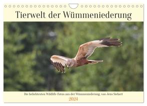 Tierwelt der Wümmeniederung (Wandkalender 2024 DIN A4 quer), CALVENDO Monatskalender von Siebert,  Jens