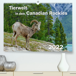 Tierwelt in den Canadian Rockies (Premium, hochwertiger DIN A2 Wandkalender 2022, Kunstdruck in Hochglanz) von Wilczek,  Dieter-M.