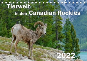 Tierwelt in den Canadian Rockies (Tischkalender 2022 DIN A5 quer) von Wilczek,  Dieter-M.