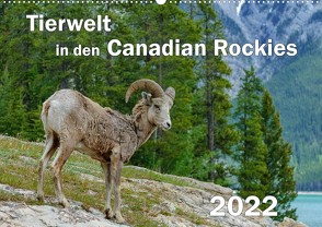 Tierwelt in den Canadian Rockies (Wandkalender 2022 DIN A2 quer) von Wilczek,  Dieter-M.