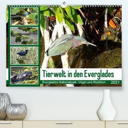 Tierwelt in den Everglades (Premium, hochwertiger DIN A2 Wandkalender 2021, Kunstdruck in Hochglanz) von Travelinspired.de