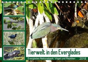 Tierwelt in den Everglades (Tischkalender 2018 DIN A5 quer) von Travelinspired.de