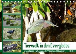 Tierwelt in den Everglades (Tischkalender 2019 DIN A5 quer) von Travelinspired.de