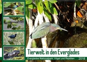 Tierwelt in den Everglades (Wandkalender 2018 DIN A2 quer) von Travelinspired.de