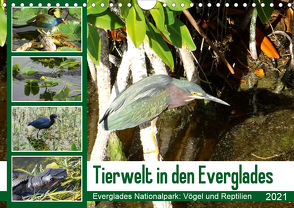 Tierwelt in den Everglades (Wandkalender 2021 DIN A4 quer) von Travelinspired.de