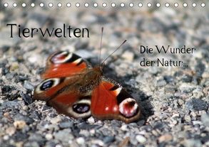 Tierwelten – Die Wunder der Natur (Tischkalender 2018 DIN A5 quer) von lajavi.com