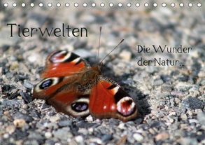 Tierwelten – Die Wunder der Natur (Tischkalender 2019 DIN A5 quer) von lajavi.com