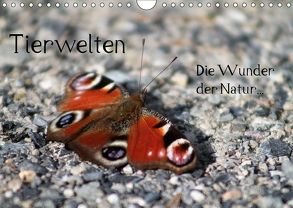 Tierwelten – Die Wunder der Natur (Wandkalender 2018 DIN A4 quer) von lajavi.com