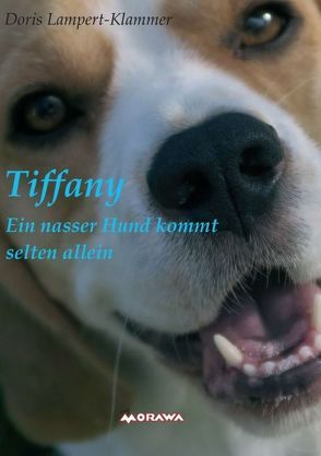 Tiffany, ein nasser Hund kommt selten allein von Lampert-Klammer,  Doris