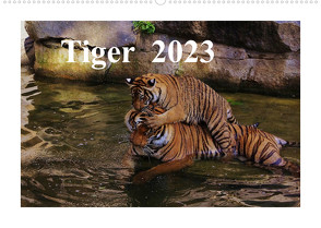 Tiger 2023 (Wandkalender 2023 DIN A2 quer) von Hennig,  Jörg