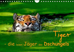 Tiger – die leisen Jäger des Dschungels (Wandkalender 2023 DIN A4 quer) von Krone,  Elke