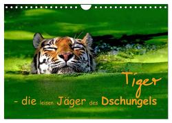 Tiger – die leisen Jäger des Dschungels (Wandkalender 2024 DIN A4 quer), CALVENDO Monatskalender von Krone,  Elke