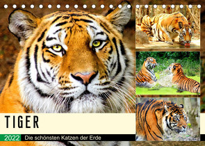 Tiger. Die schönsten Katzen der Erde (Tischkalender 2022 DIN A5 quer) von Hurley,  Rose