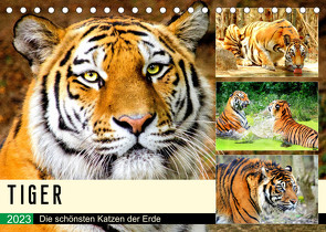 Tiger. Die schönsten Katzen der Erde (Tischkalender 2023 DIN A5 quer) von Hurley,  Rose