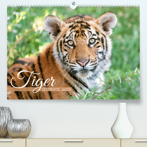 Tiger: Gestreifte Jäger (Premium, hochwertiger DIN A2 Wandkalender 2022, Kunstdruck in Hochglanz) von CALVENDO