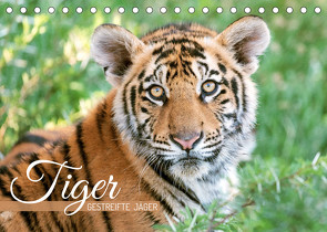Tiger: Gestreifte Jäger (Tischkalender 2022 DIN A5 quer) von CALVENDO