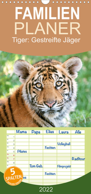 Familienplaner Tiger: Gestreifte Jäger (Wandkalender 2022 , 21 cm x 45 cm, hoch) von CALVENDO