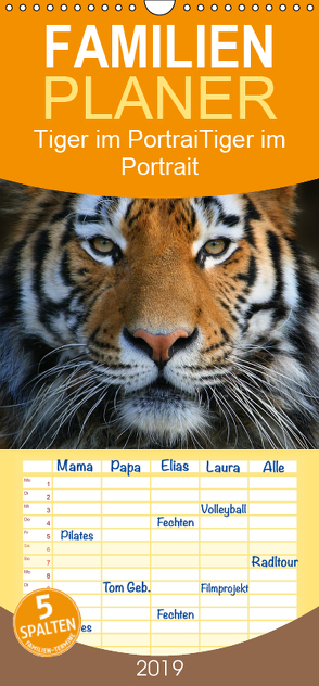 Tiger im Portrait – Familienplaner hoch (Wandkalender 2019 , 21 cm x 45 cm, hoch) von Krone,  Elke