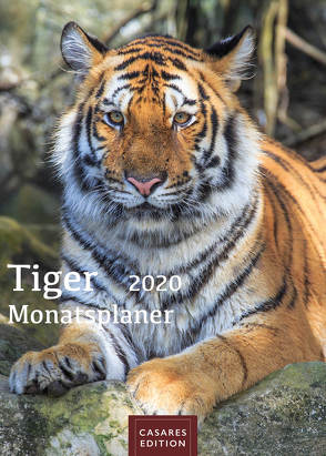 Tiger Monatsplaner 2020 30x42cm