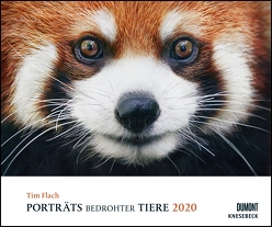 Tim Flach: Porträts bedrohter Tiere 2020 – Tier-Fotografie – Wandkalender 58,4 x 48,5 cm – Spiralbindung von DUMONT Kalenderverlag, Flach,  Tim