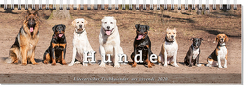 Tischkalender Hunde 2020 von -