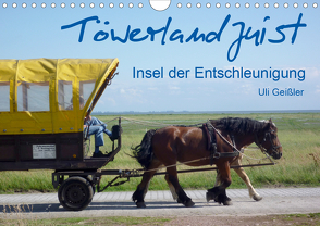 Töwerland Juist (Wandkalender 2020 DIN A4 quer) von Geißler,  Uli