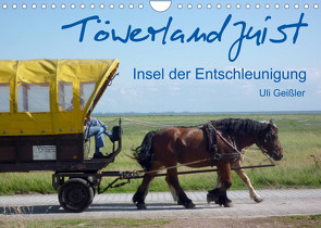 Töwerland Juist (Wandkalender 2023 DIN A4 quer) von Geißler,  Uli