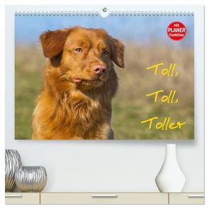 Toll, toll, Toller (hochwertiger Premium Wandkalender 2024 DIN A2 quer), Kunstdruck in Hochglanz von Starick,  Sigrid